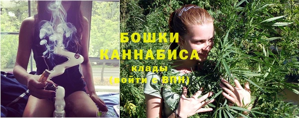 шишки Володарск