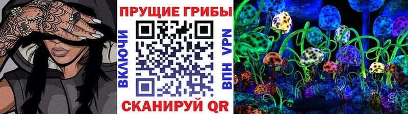 Галлюциногенные грибы Magic Shrooms  Купить закладки  Городовиковск 