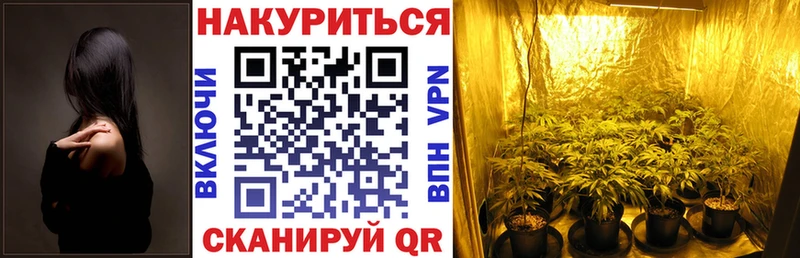 Купить закладки  Городовиковск  Канабис планчик 